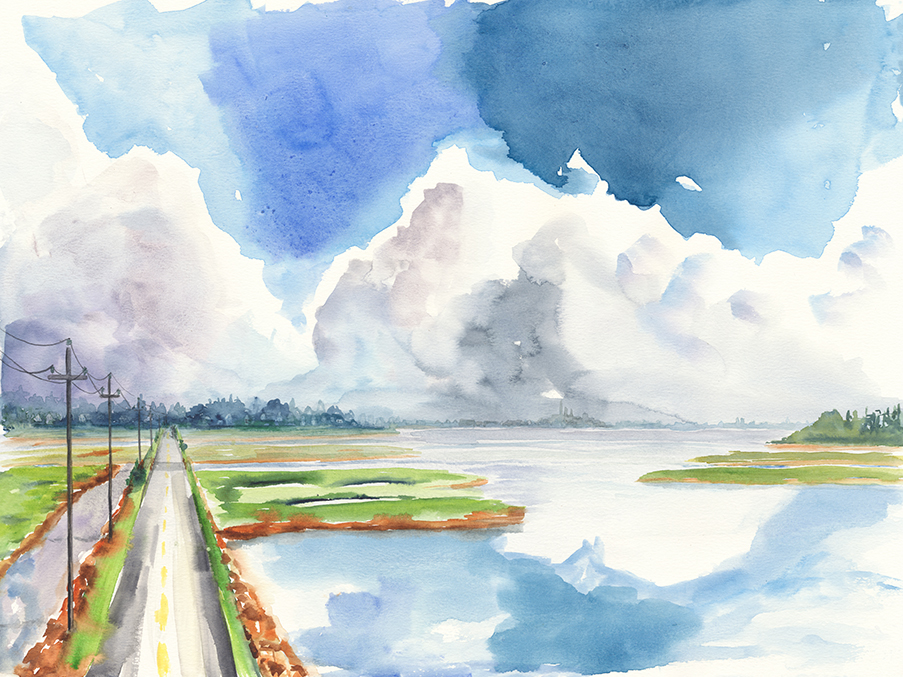 Lynn Marsh Summer View Thumbnail Placeholder